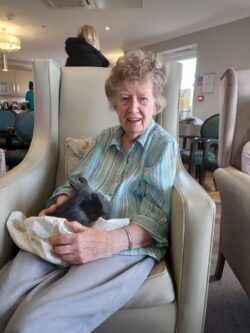 Avocet House Animal Petting Party