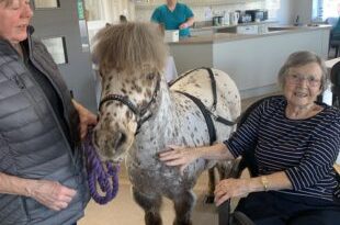 An enchanting visit at Avocet House Care Home